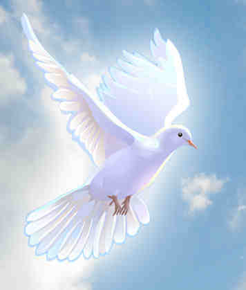15dbf-little2bdove