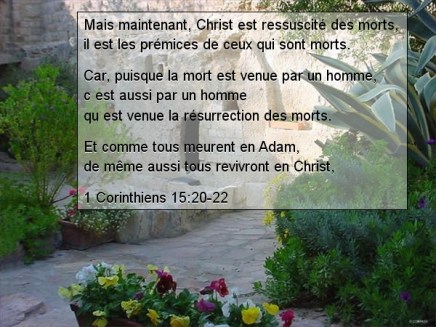 58c831b54835b-text (1)