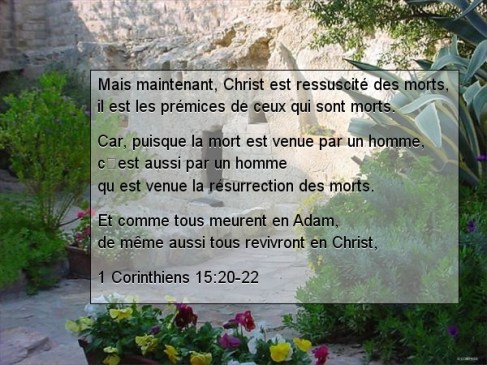 58c831b54835b-text (2)