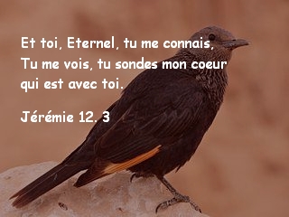 Jérémie 12. 3