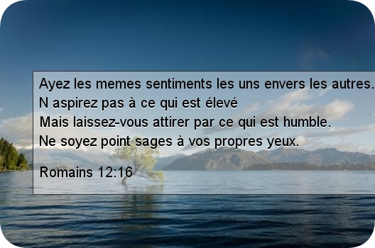 Romains 12:16 Romains 12:16