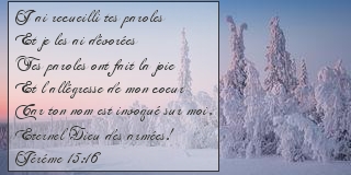  Jérémie 15:16 
