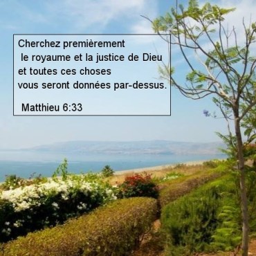 Matthieu 6:33 Matthieu 6:33