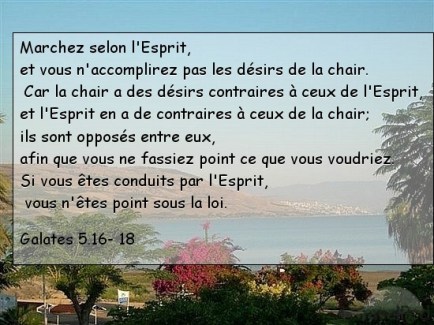  Marchez selon l'Esprit, et vous n'accomplirez pas les désirs de la chair. 