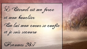 L’Éternel est ma force et mon bouclier  En lui mon cœur se confie et je suis secouru   Psaumes 28:7