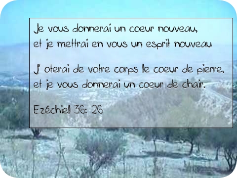 Ézéchiel 36v26