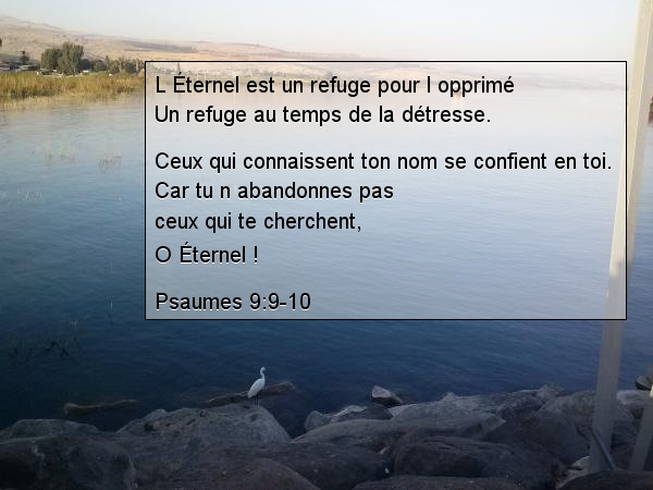 Psaumes 9:9-10 Psaumes 9:9-10