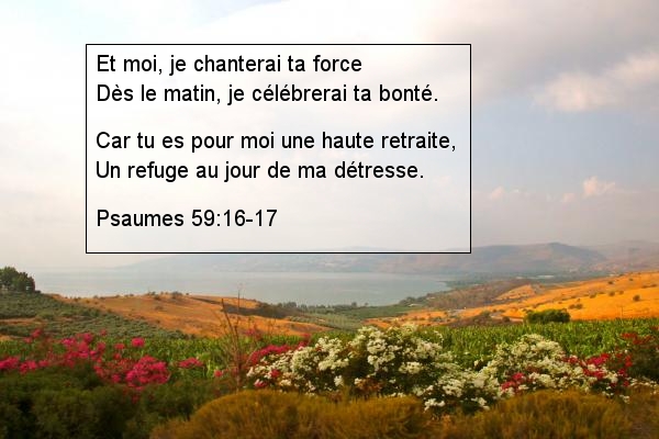 Psaumes 59:16-17