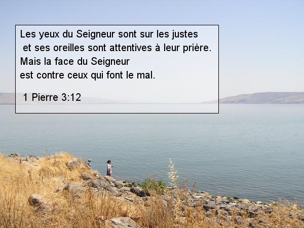 Les yeux du Seigneur sont sur les justes   et ses oreilles sont attentives à leur prière.  Mais la face du Seigneur est contre ceux qui font le mal.