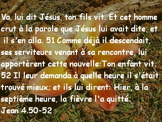 Jean 4.50-52