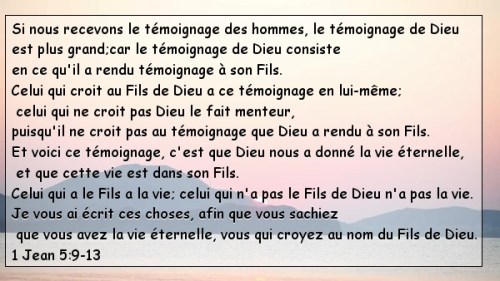 1 Jean 5:9-13