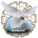 cropped-colombe1.gif