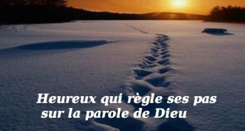 homelie