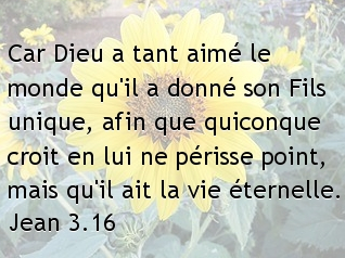 jean3.16...