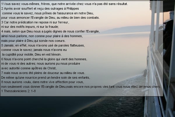 5a7f1231eaeb2-text