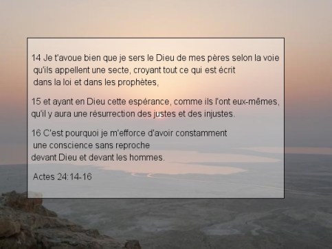 Actes 24 v 14.16
