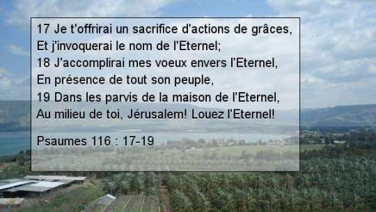 Psaumes 116 .17-19