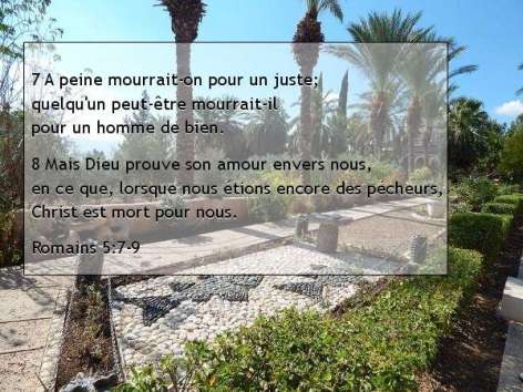 Romains 5.7- 9