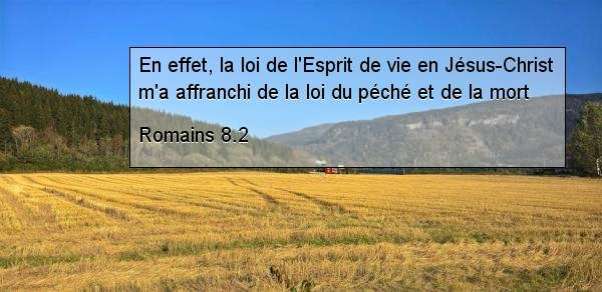 Romains 8.2