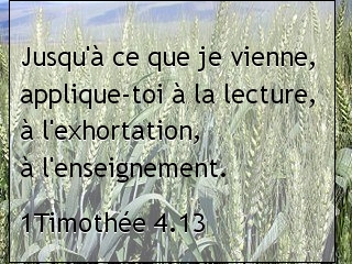 1Timothée 4.13.jpg