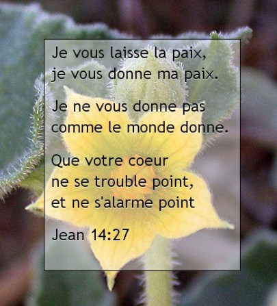 Jean 14.27.jpg