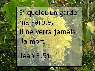 Jean 8.51