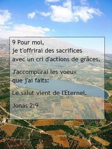 Jonas 2.9.jpg