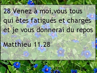 Matthieu 11.28.jpg