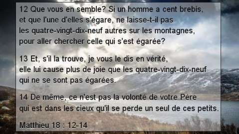 Matthieu 18 . 12-14