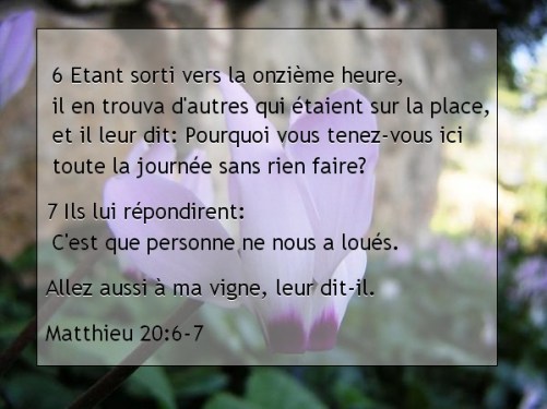 Matthieu 20.6-7.jpg