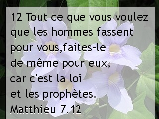 Matthieu 7.12.jpg