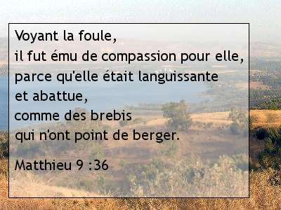Matthieu 9 .36.jpg