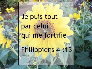 Philippiens 4.13.jpg