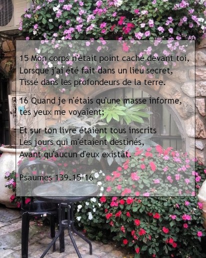 Psaumes 139.15-16.jpg