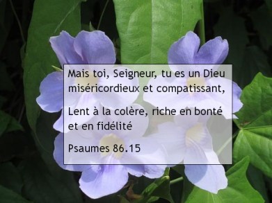 Psaumes 86.15