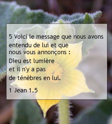 1 Jean 1.5.jpg