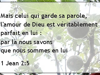1 Jean 2.5
