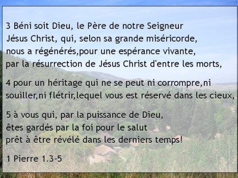 1 Pierre 1.3-5.