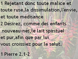 1 Pierre 2.1-2.jpg