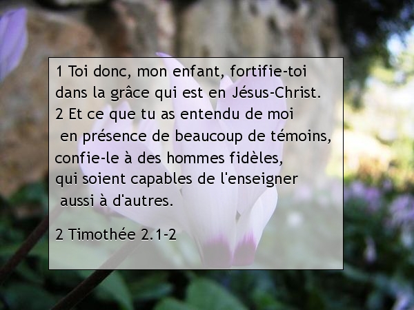 2 Timothée 2.1-2.jpg