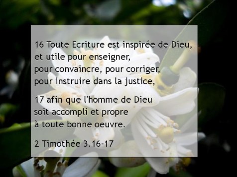 2 Timothée 3.16-17.jpg