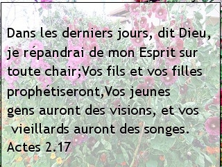 Actes 2.17.jpg