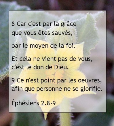 Éphésiens 2.8-9..jpg