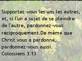 Colossiens 3.13