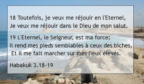 Habakuk 3.18-19.jpg