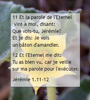 Jérémie 1.11-12.jpg
