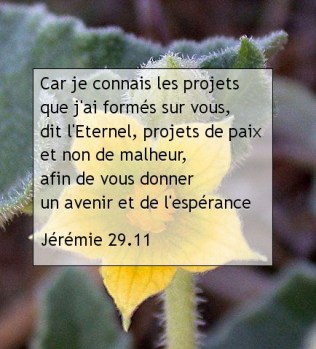 Jérémie 29.11