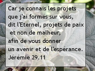 Jérémie 29.11.