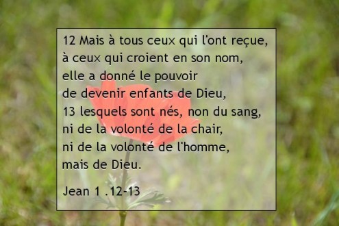 Jean 1 .12-13.jpg