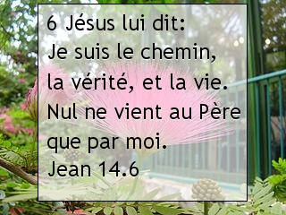 Jean 14.6